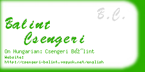 balint csengeri business card